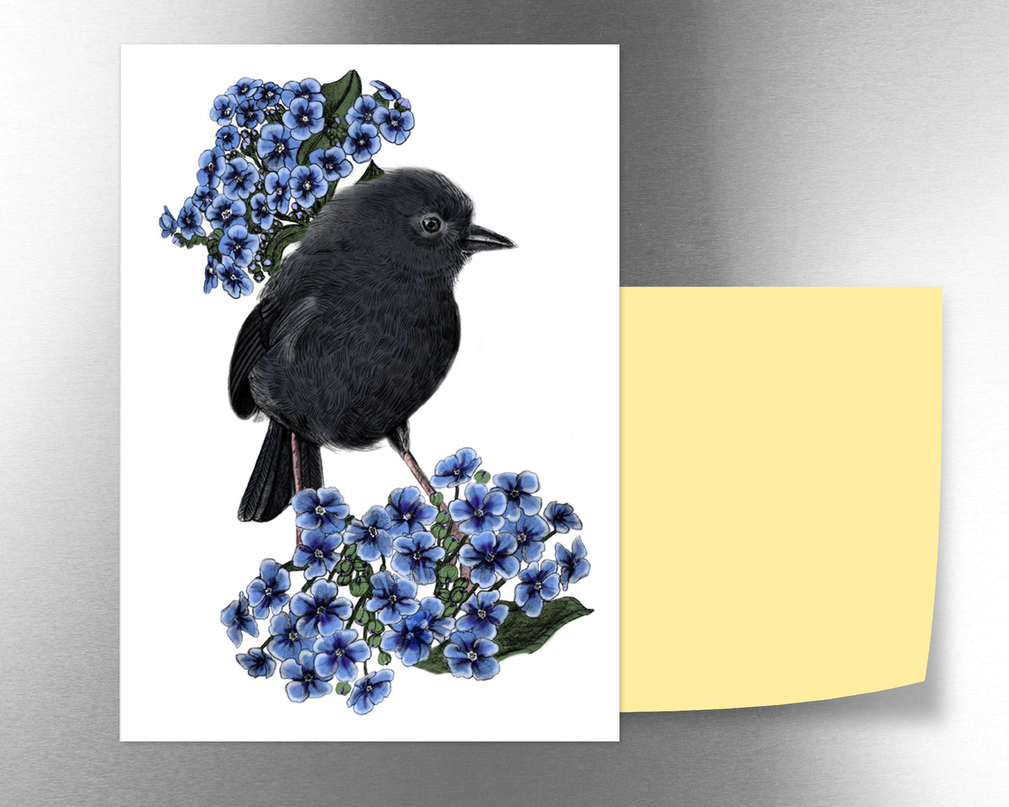 Black Robin Magnet