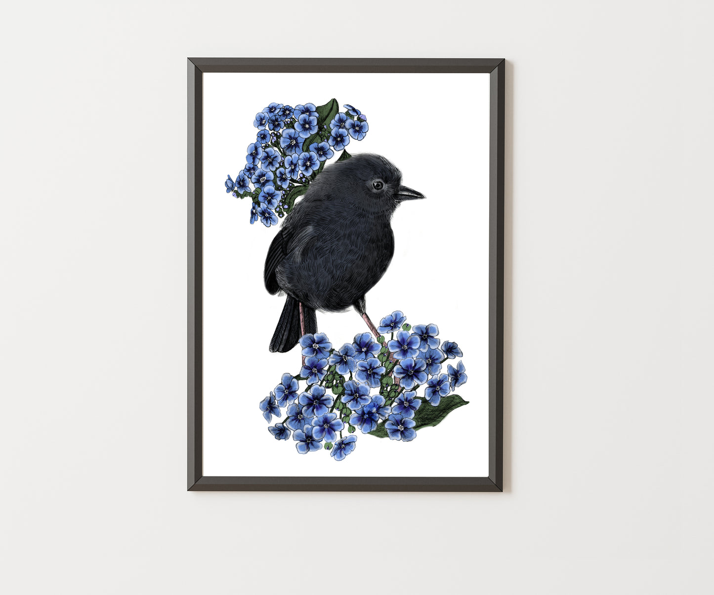 Black Robin Illustrated Art Print | NZ Endangered Bird | Celebrating Rare Wildlife of Aotearoa