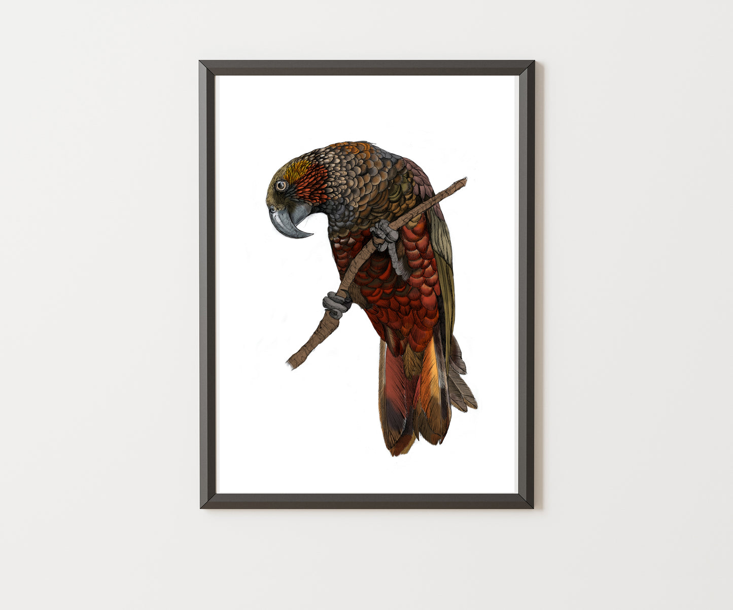 Kākā Bird Art Print | Native NZ Parrot Illustration | A5 A4 A3 Giclée Fine Art | Local New Zealand Artist