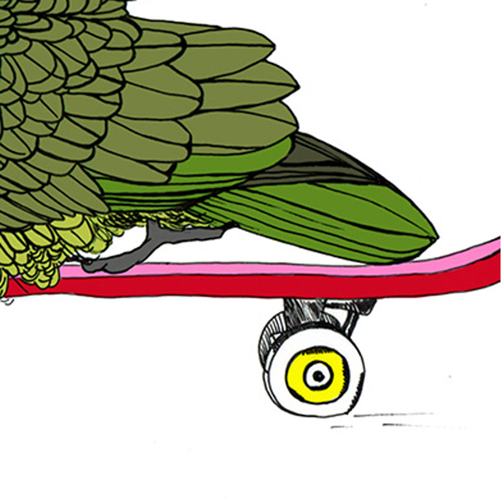 Kea on a Skateboard – NZ Native Bird Giclée Print | Illustrated Art