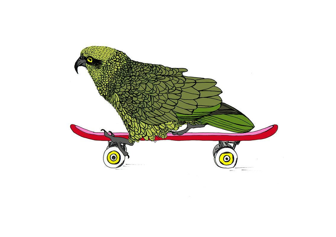 Kea on a Skateboard – NZ Native Bird Giclée Print | Illustrated Art