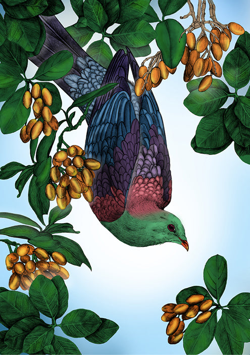 Kererū & Karaka – NZ Native Bird & Botanical Giclée Art Print