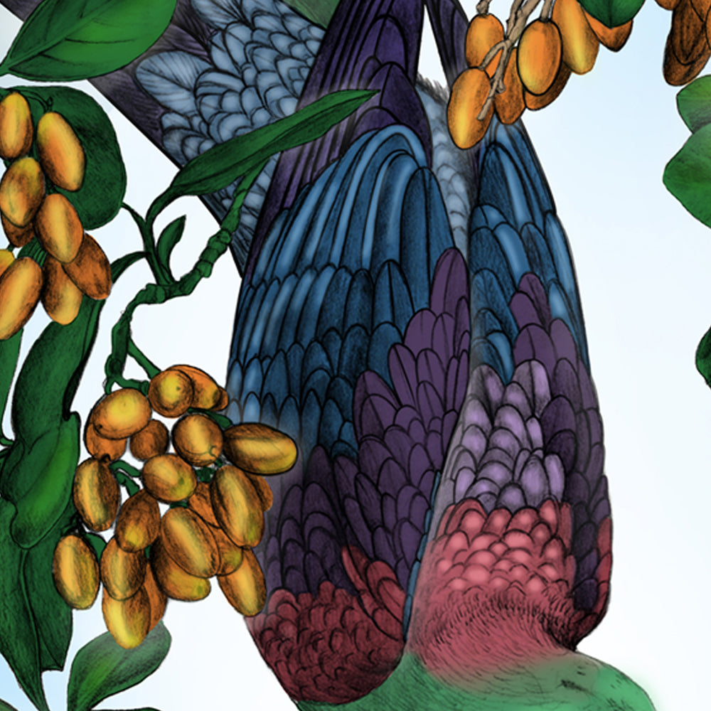 Kererū & Karaka – NZ Native Bird & Botanical Giclée Art Print