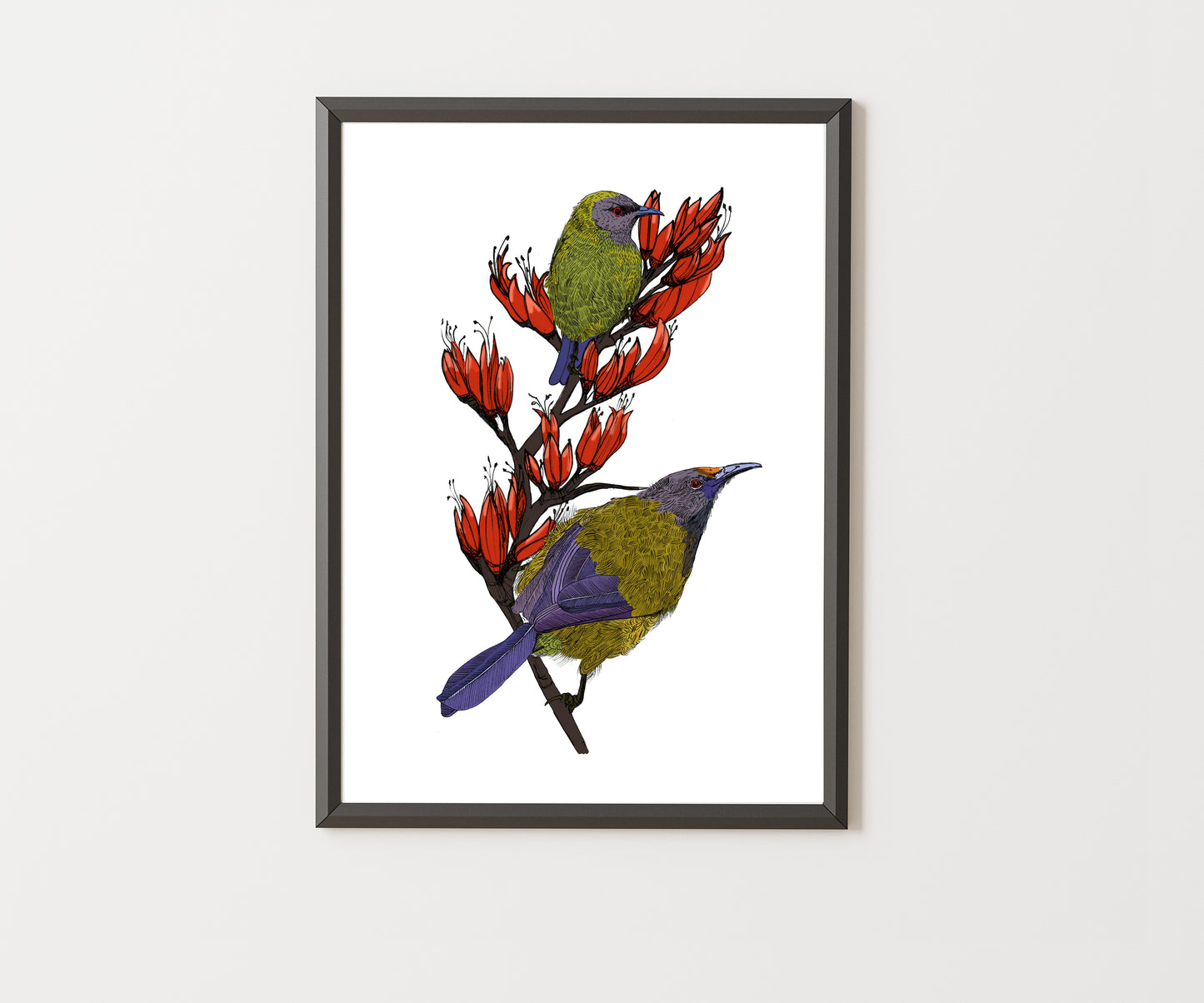 Korimako & Harakeke Art Print | NZ Native Bellbird & Flax Illustration | Giclée Fine Art Print