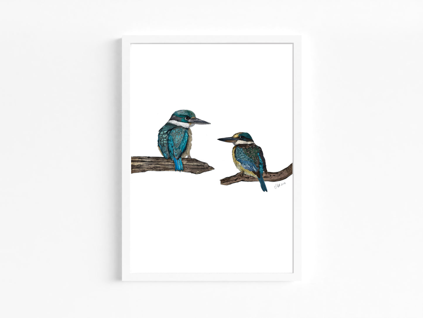 Kōtare (Sacred Kingfisher) – Fine Art Giclée Print | NZ Native Bird Illustration