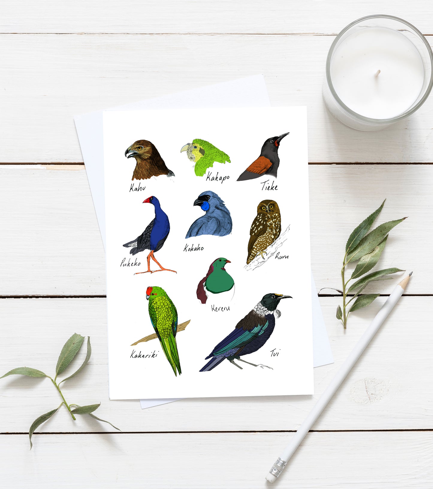 Native New Zealand bird 2 greeting card