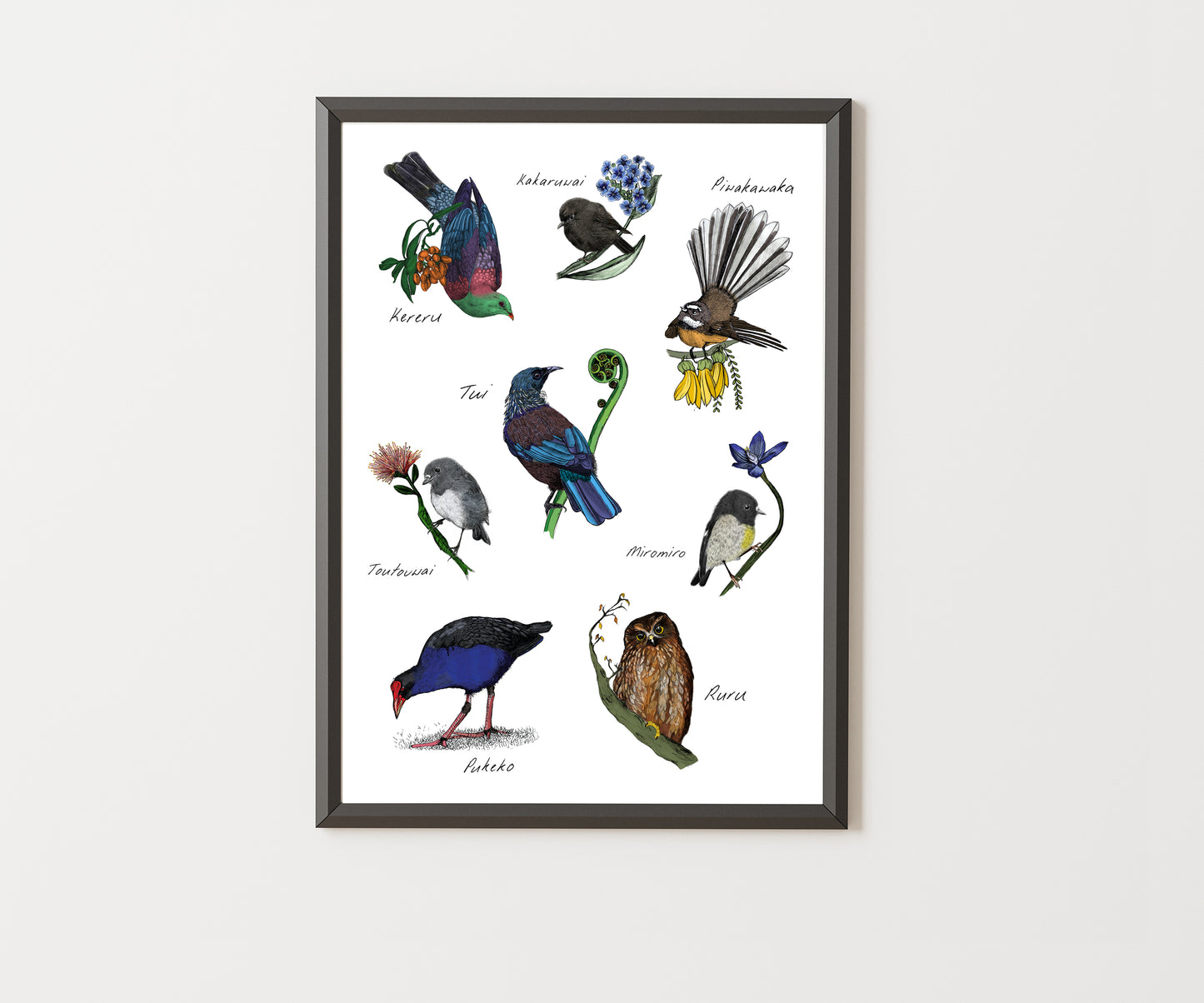 Native New Zealand Birds – Fine Art Giclée Print