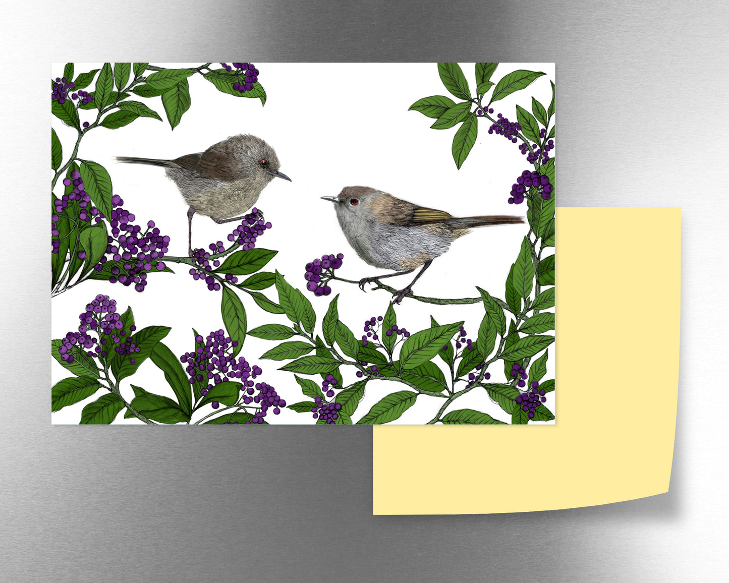 Riorio & Mahoe magnets
