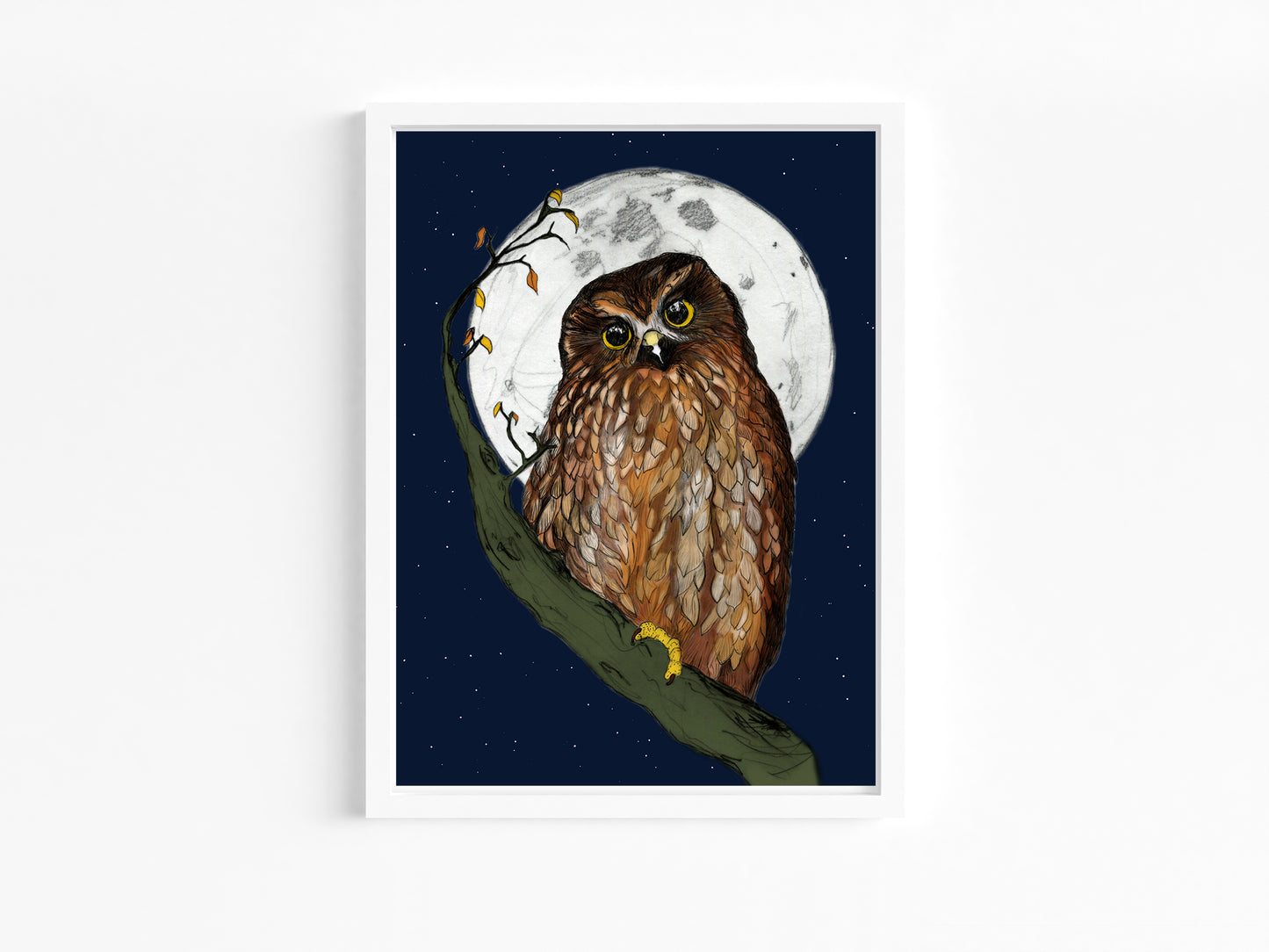 Ruru (Morepork) – Fine Art Giclée Print | NZ Native Owl Illustration