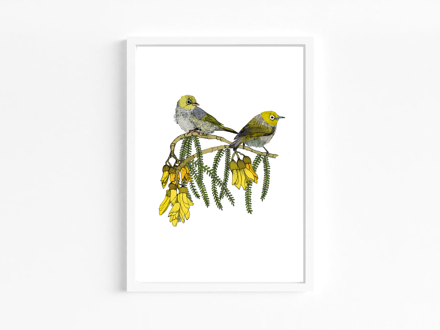 Tauhou & Kowhai | NZ Native Bird & Botanical Giclée Art Print