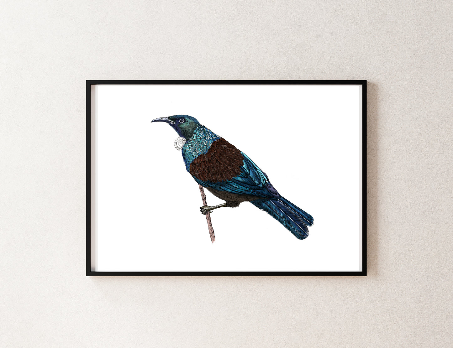 Tūī Bird Giclée Art Print | Hand-Drawn NZ Native Bird Illustration | Fine Art Wall Decor | Archival Quality
