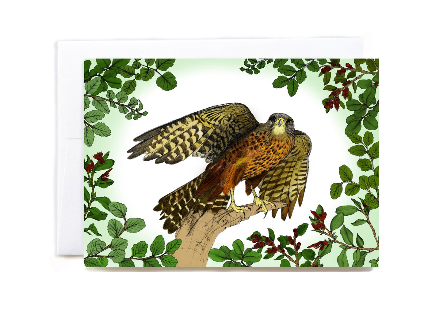 Karearea Card - tuiornottui.com