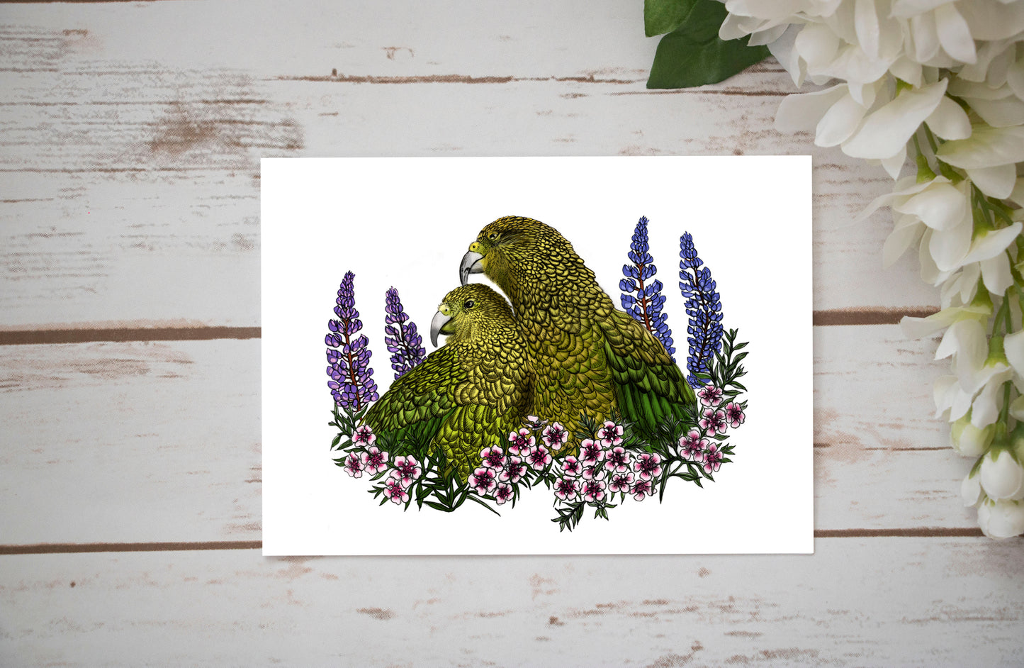 Kea Manuka Card