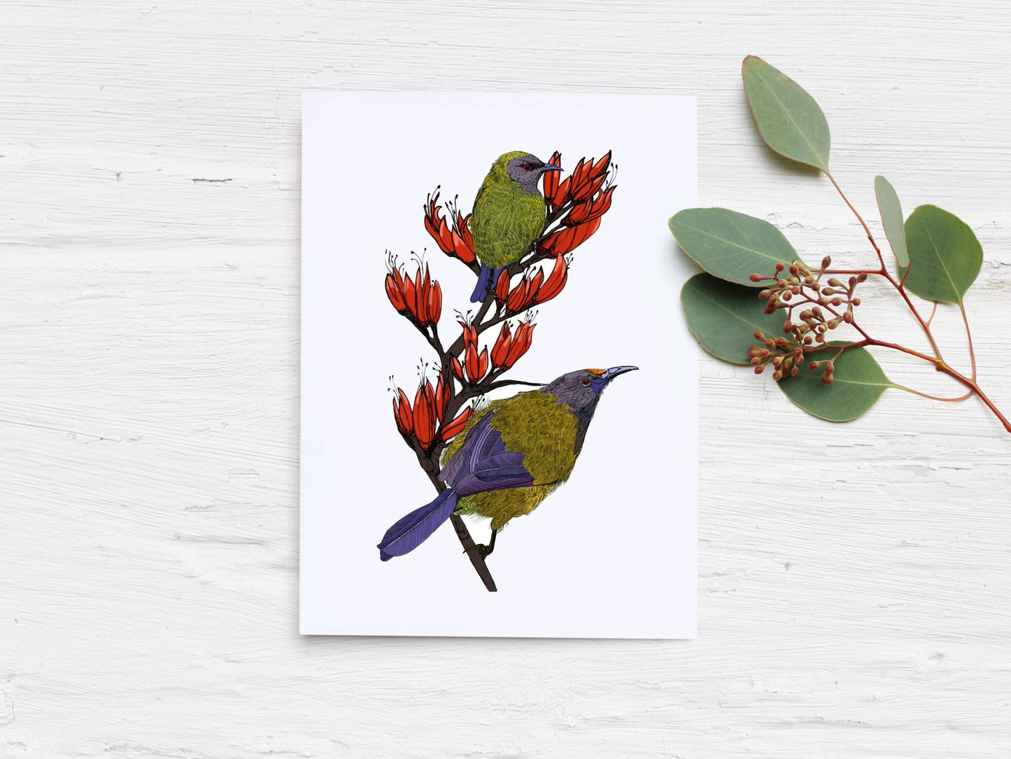 Korimako & Harakeke flowers greeting card - tuiornottui.com