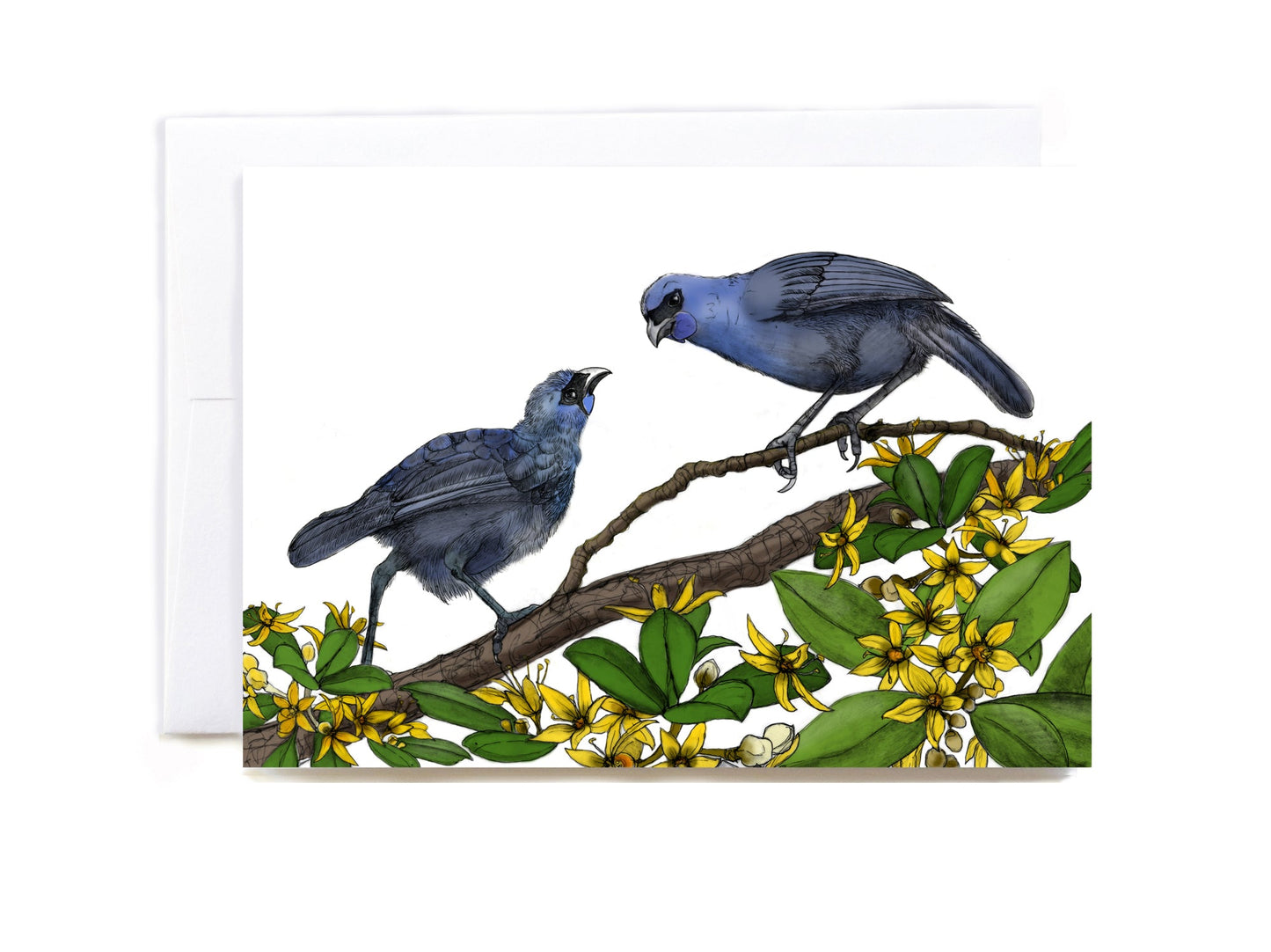 Native New Zealand Kōkako & Korokio greeting card - tuiornottui.com