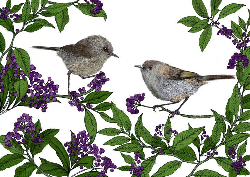 Riroriro & Māhoe – NZ Native Bird & Botanical Giclée Art Print - tuiornottui.com