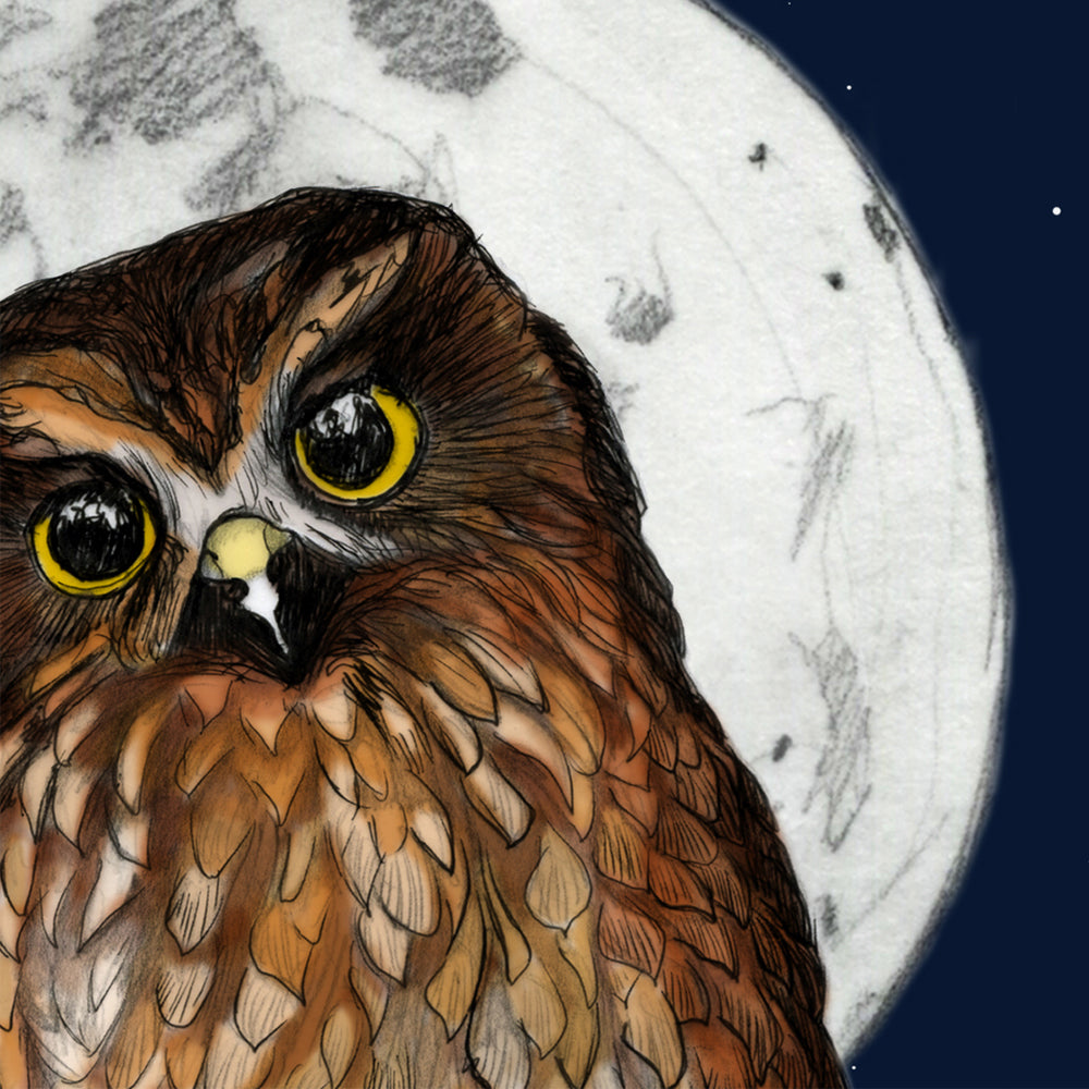 Ruru (Morepork) – Fine Art Giclée Print | NZ Native Owl Illustration