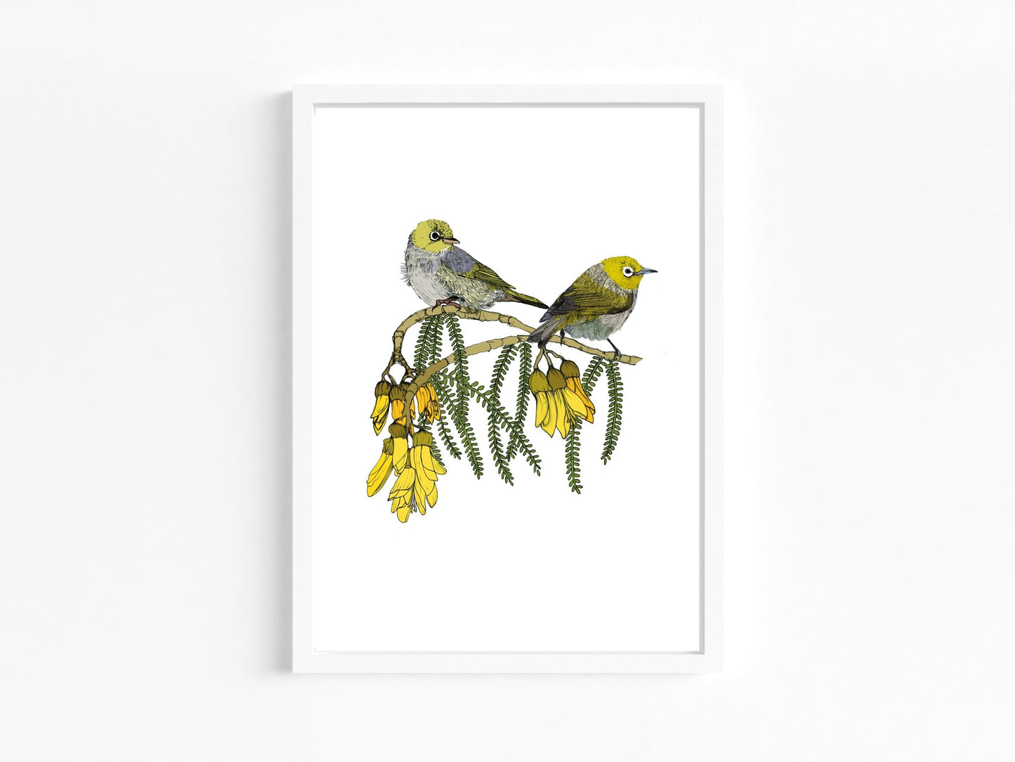 Tauhou & Kowhai | NZ Native Bird & Botanical Giclée Art Print - tuiornottui.com