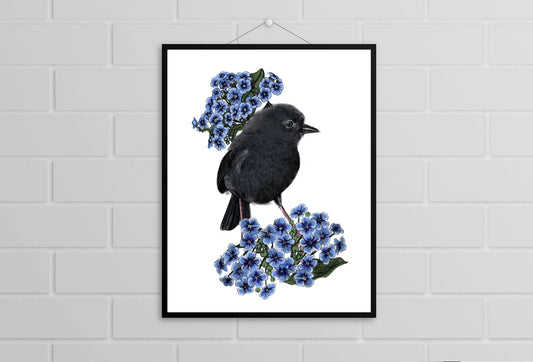 Black Robin Print