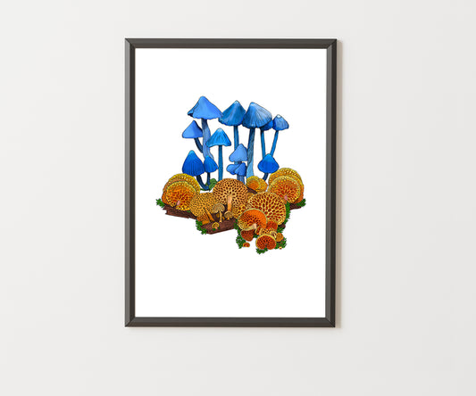 Werewere-kōkako Mushroom Art Print | Native NZ Blue Pinkgill | Fine Art Illustration | A5 A4 A3 A2 | Local New Zealand Artist