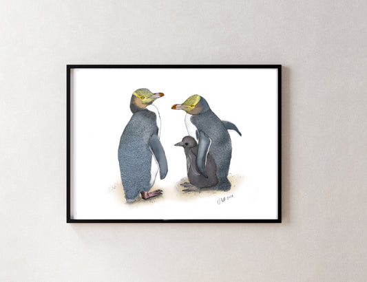 Hoiho (Yellow-eyed Penguin) – Fine Art Giclée Print | NZ Native Bird