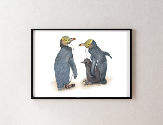 Hoiho - Yellow-eyed penguin print