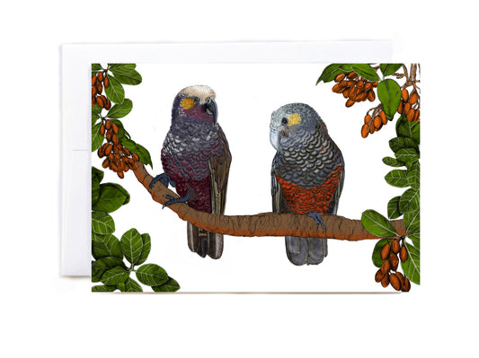 Native New Zealand Kākā & Karaka tree greeting card