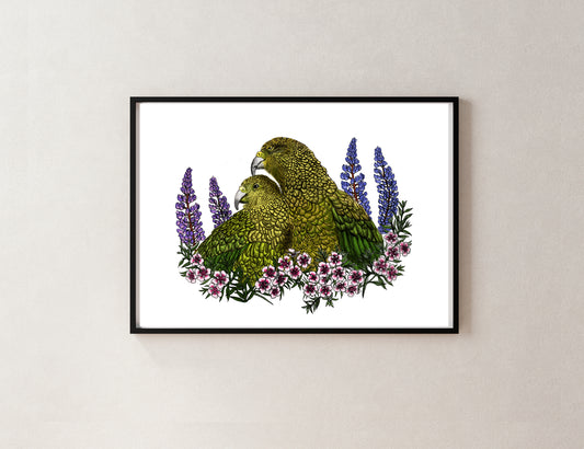 Kea, Mānuka & Lupin – NZ Native Bird & Botanical Giclée Art Print