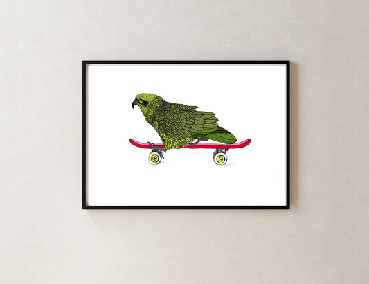 Kea on a Skateboard – NZ Native Bird Giclée Print | Illustrated Art