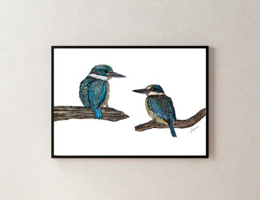 Kōtare (Sacred Kingfisher) – Fine Art Giclée Print | NZ Native Bird Illustration