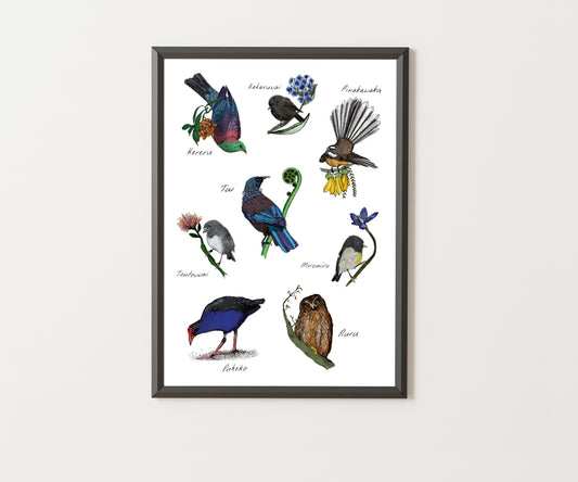 Native New Zealand Birds – Fine Art Giclée Print