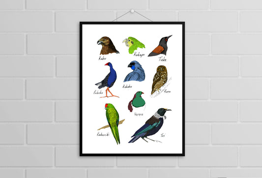 Native New Zealand Birds 2 print