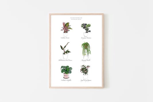 Plants print