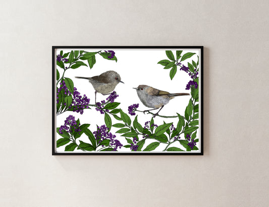 Riroriro & Māhoe – NZ Native Bird & Botanical Giclée Art Print