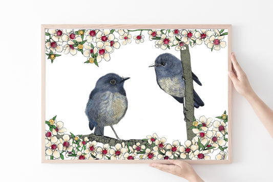 New Zealand Robin & Mānuka print