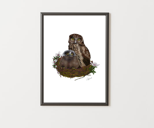 Ruru Print | Morepork Owl Art | Native New Zealand Bird Painting | Wildlife Wall Art by NZ Artist