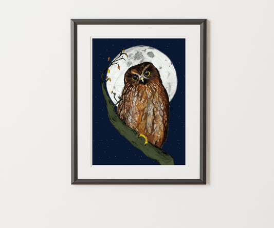 Ruru (Morepork) – Fine Art Giclée Print | NZ Native Owl Illustration