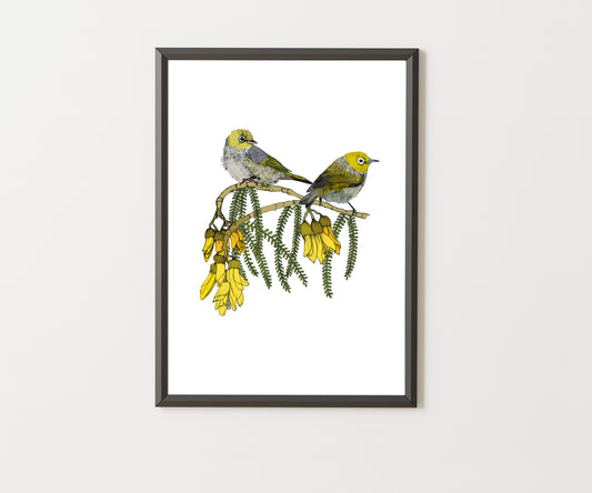 Tauhou & Kowhai | NZ Native Bird & Botanical Giclée Art Print