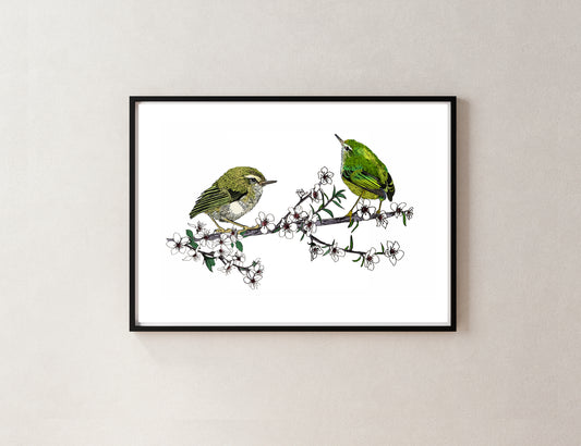 Tītipounamu & Mānuka – NZ Native Bird & Botanical Giclée Art Print