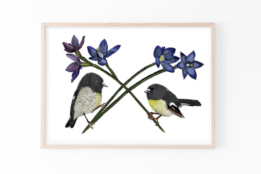 Tomtit & New Zealand Orchid print
