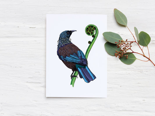 New Zealand native Tui bird & koru