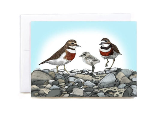 Banded Dotterel Greeting Card - tuiornottui.com