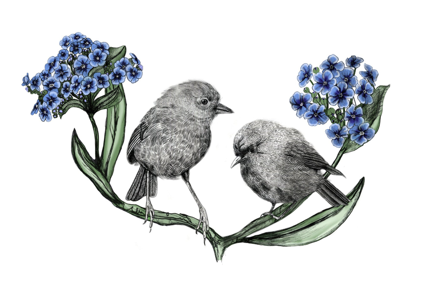 Black Robin 2, kakaruia, illustrated Greeting Card - tuiornottui.com