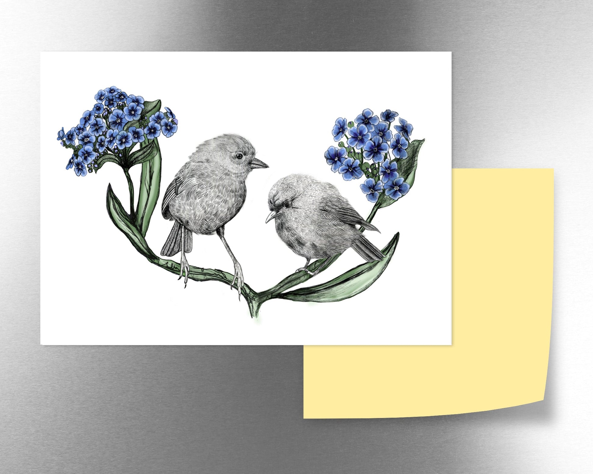 Black Robin & Chatham island forget - me - not magnet - tuiornottui.com