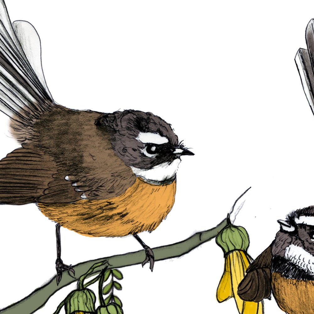 Fantail & Kōwhai – NZ Native Bird & Botanical Giclée Art Print - tuiornottui.com
