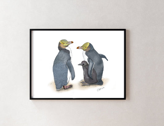 Hoiho (Yellow - eyed Penguin) – Fine Art Giclée Print | NZ Native Bird - tuiornottui.com