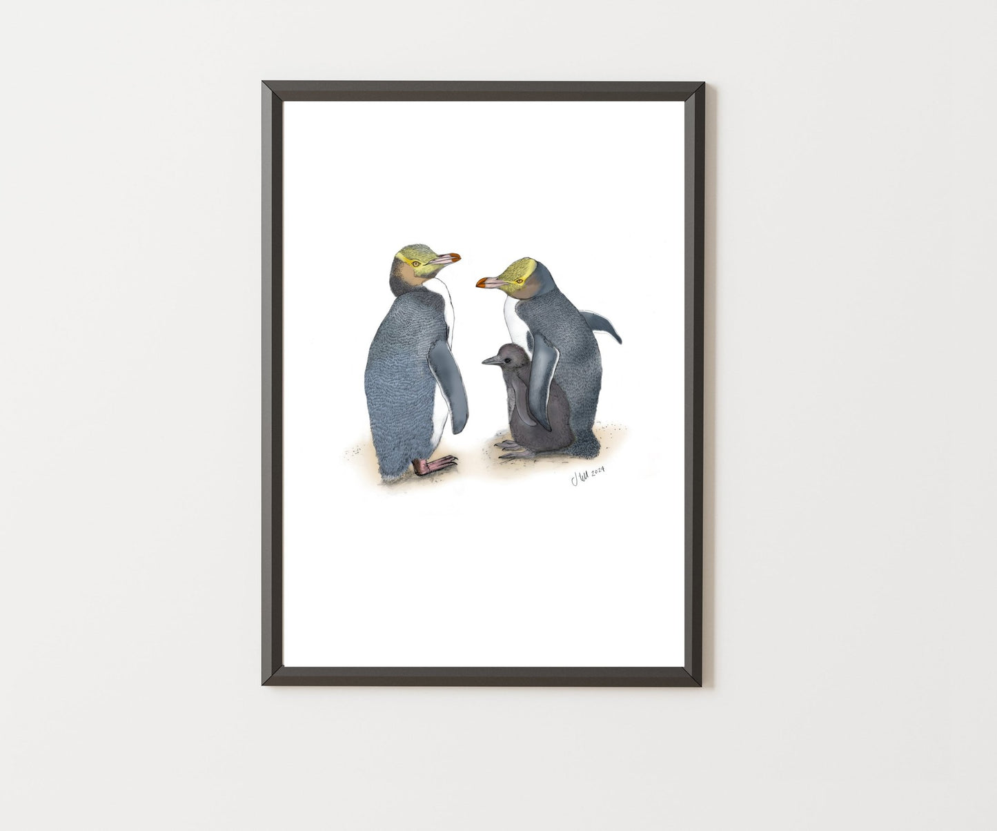 Hoiho (Yellow - eyed Penguin) – Fine Art Giclée Print | NZ Native Bird - tuiornottui.com