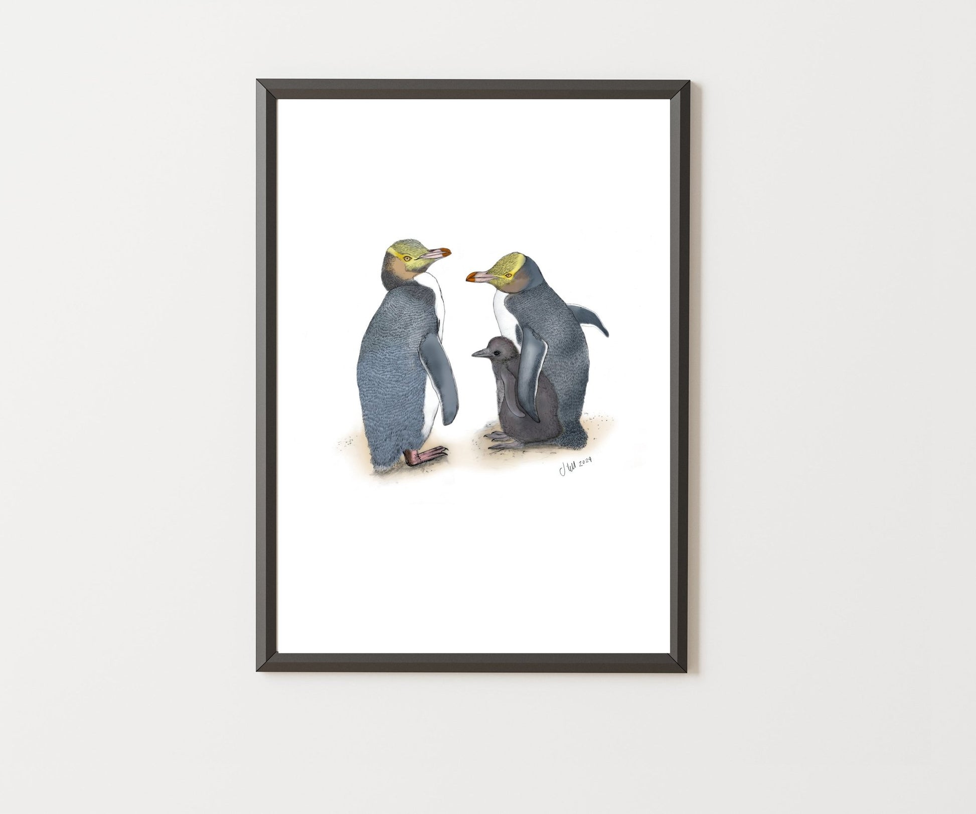 Hoiho (Yellow - eyed Penguin) – Fine Art Giclée Print | NZ Native Bird - tuiornottui.com