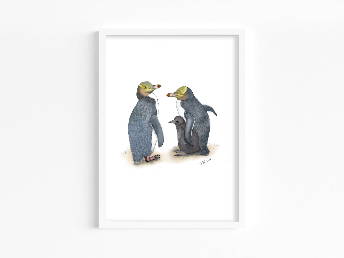 Hoiho (Yellow - eyed Penguin) – Fine Art Giclée Print | NZ Native Bird - tuiornottui.com