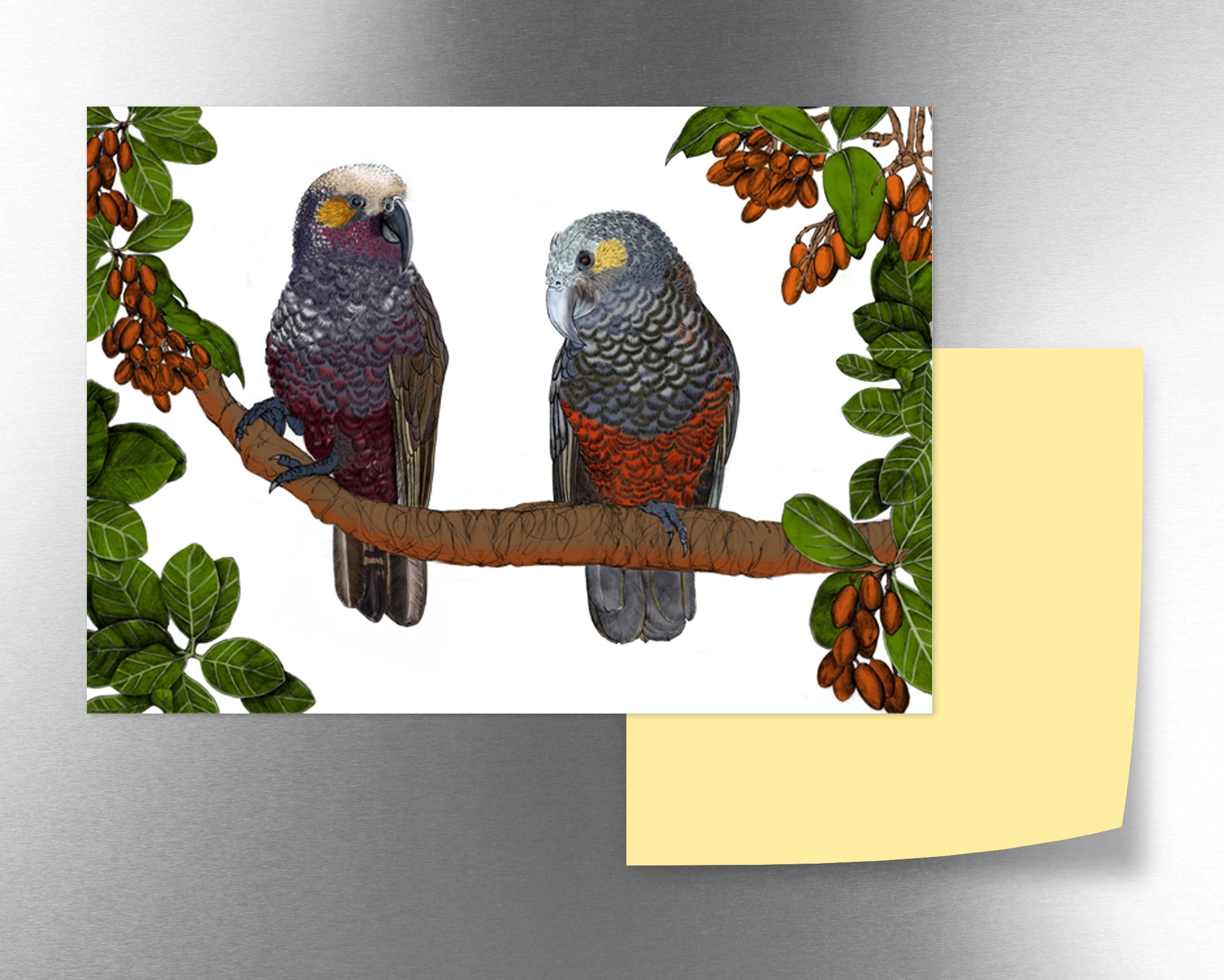 Kākā & Karaka magnet - tuiornottui.com